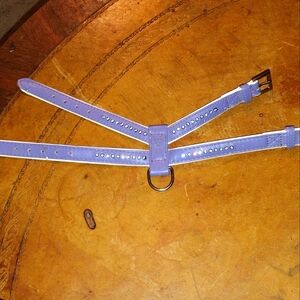 Small Purple Dog Collar/Harness